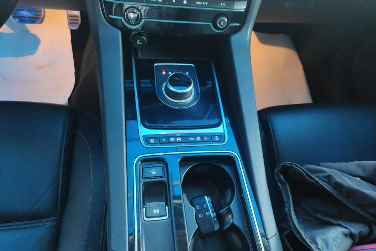 Used Jaguar F-PACE 2018 2.0T Two-Wheel Drive Urban Deluxe Edition Gear Lever