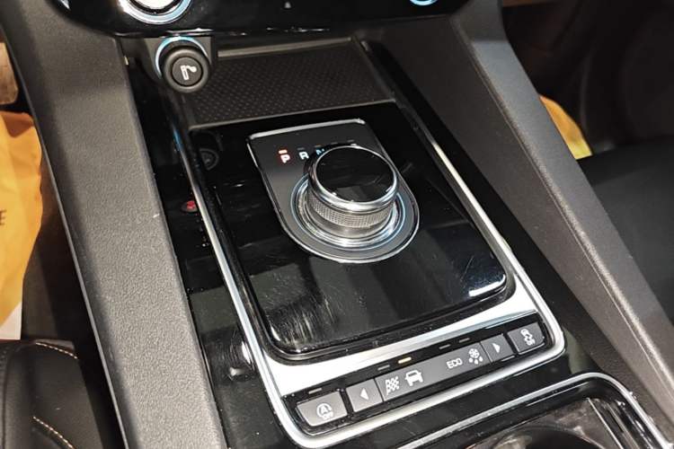 Used Jaguar F-PACE 2018 2.0T Two-Wheel Drive Urban Deluxe Edition Gear Lever