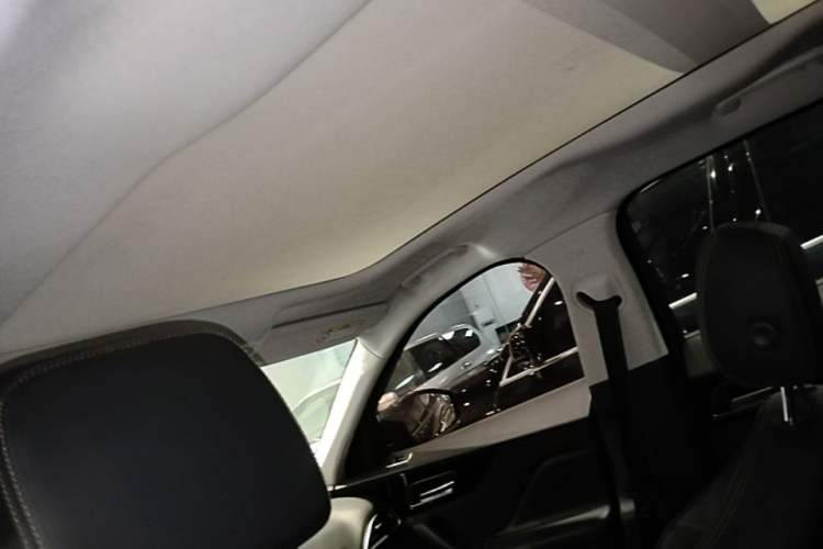 Used Jaguar F-PACE 2018 2.0T Two-Wheel Drive Urban Deluxe Edition Headliner