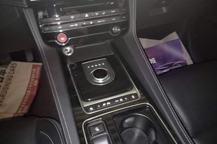 Used Jaguar F-PACE 2018 2.0T All-Wheel Drive R-Sport Sport Edition Gear Lever