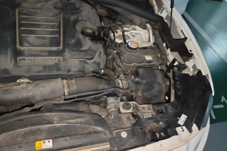 Used Jaguar F-PACE 2018 2.0T Four-Wheel Drive Urban Luxury Edition Engine Bay Left