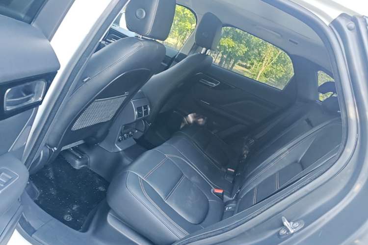 Used Jaguar F-PACE 2018 2.0T Four-Wheel Drive Urban Luxury Edition Left Rear Seat