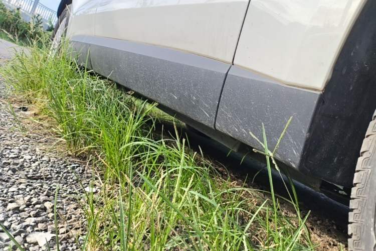 Used Jaguar F-PACE 2018 2.0T Four-Wheel Drive Urban Luxury Edition Right Side Sill