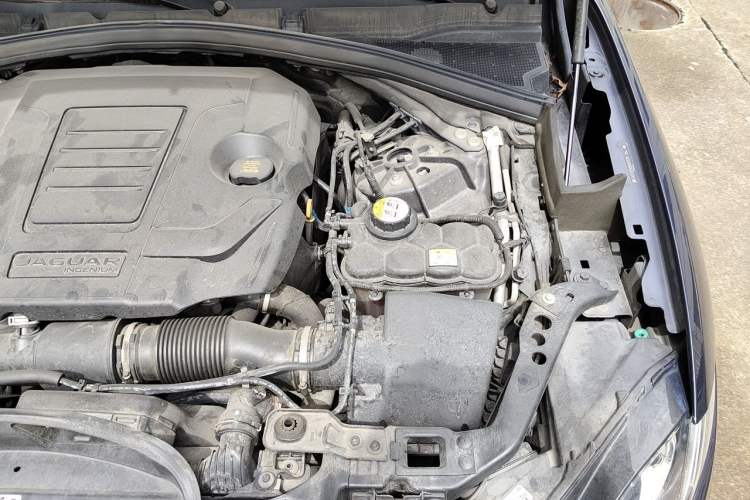 Used Jaguar F-PACE 2019 2.0T Two-Wheel Drive Urban Deluxe Edition Engine Bay Left