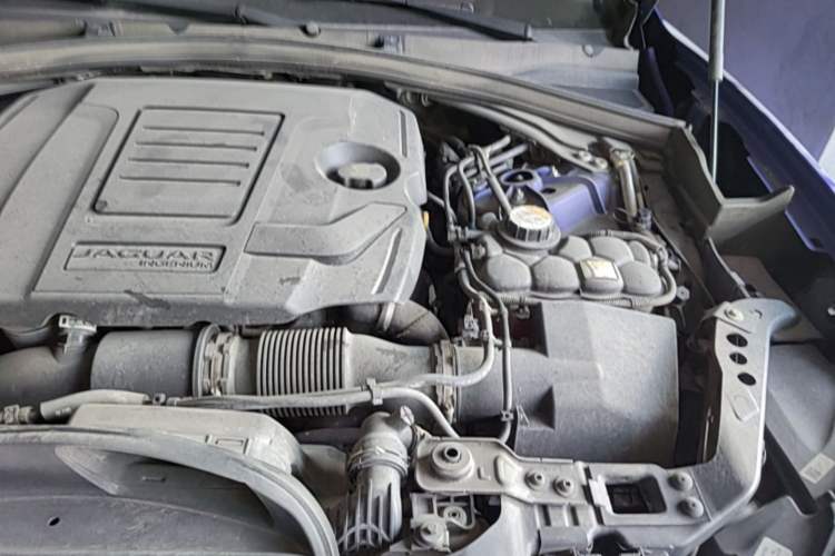 Used Jaguar F-PACE 2019 2.0T All-Wheel Drive R-Sport Sport Edition Engine Bay Left