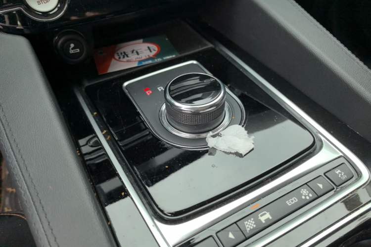 Used Jaguar F-PACE 2019 2.0T Two-Wheel Drive Urban Deluxe Edition Gear Lever
