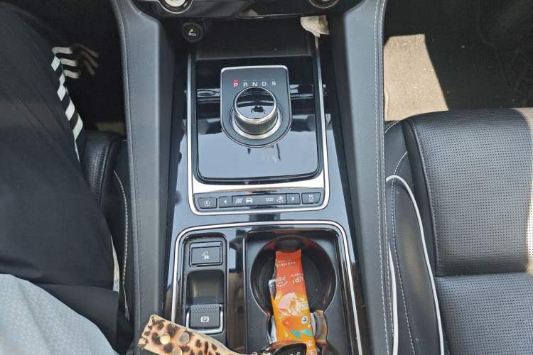 Used Jaguar F-PACE 2019 2.0T All-Wheel Drive R-Sport Sport Edition Gear Lever