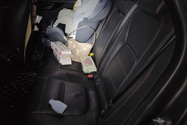 Used Jaguar F-PACE 2019 2.0T Four-Wheel Drive Urban Luxury Edition Left Rear Seat