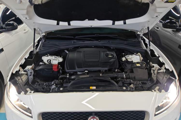 Used Jaguar F-PACE 2019 2.0T All-Wheel Drive R-Sport Sport Edition Engine Bay