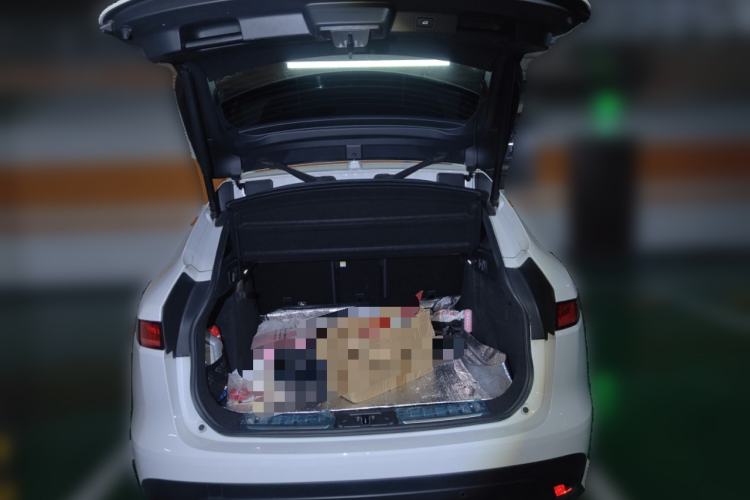 Used Jaguar F-PACE 2019 2.0T Four-Wheel Drive Urban Luxury Edition Trunk