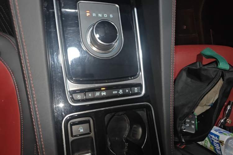Used Jaguar F-PACE 2020 2.0T Rally Edition Gear Lever