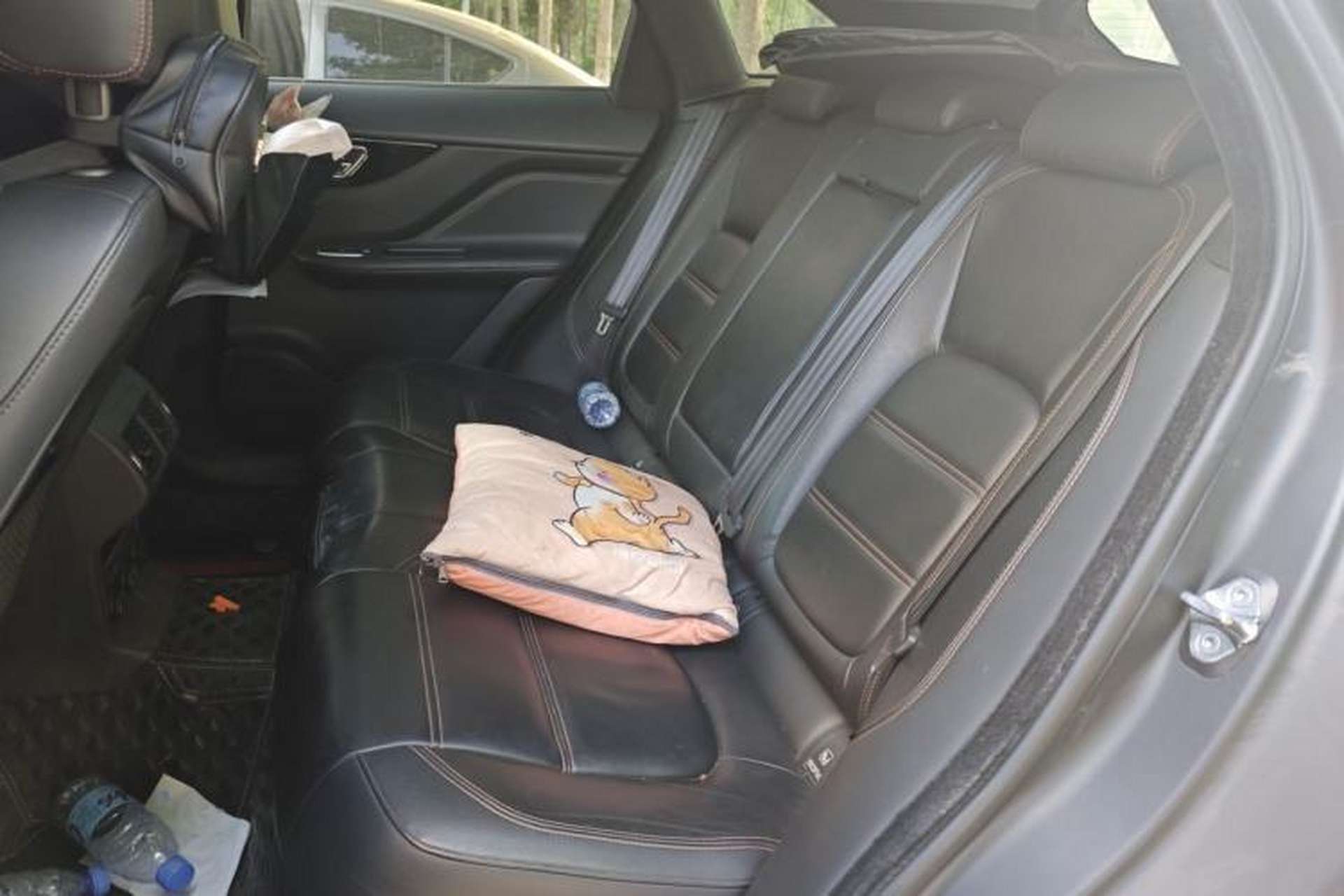 Used Jaguar F-PACE 2020 2.0T Urban Deluxe Edition Left Rear Seat