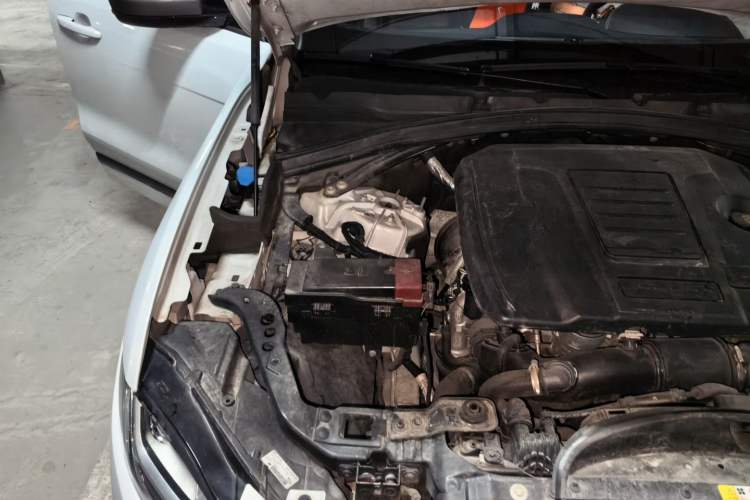Used Jaguar F-PACE 2020 300-Sport Sports Edition Engine Bay Right