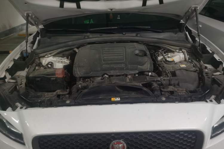 Used Jaguar F-PACE 2020 300-Sport Sports Edition Engine Bay