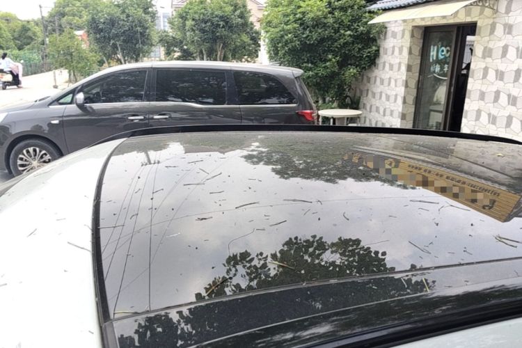 Used Jaguar F-PACE 2020 2.0T Rally Edition Roof