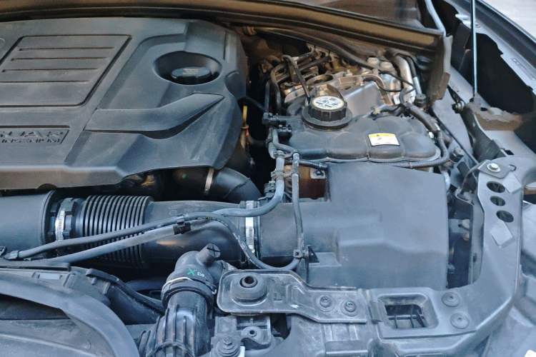 Used Jaguar F-PACE 2021 250 PS R-Dynamic S Engine Bay Left