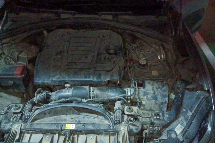 Used Jaguar F-PACE 2021 250 PS R-Dynamic S Engine Bay Left
