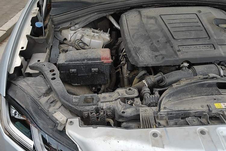 Used Jaguar F-PACE 2021 250 PS R-Dynamic SE Engine Bay Right