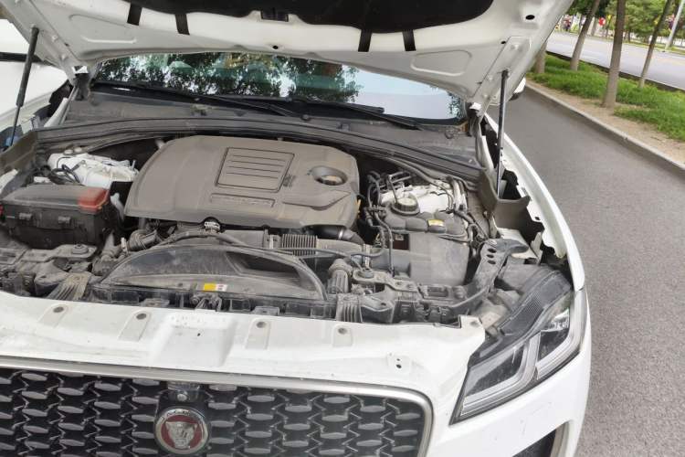 Used Jaguar F-PACE 2021 250 PS R-Dynamic S Engine Bay Left