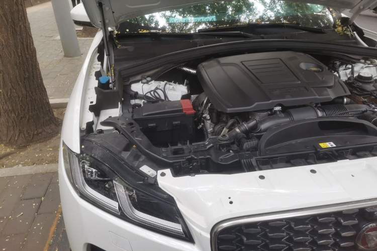 Used Jaguar F-PACE 2022 P250 HSE Engine Bay Right