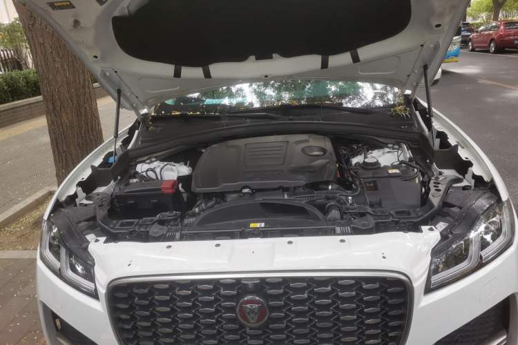 Used Jaguar F-PACE 2022 P250 HSE Engine Bay