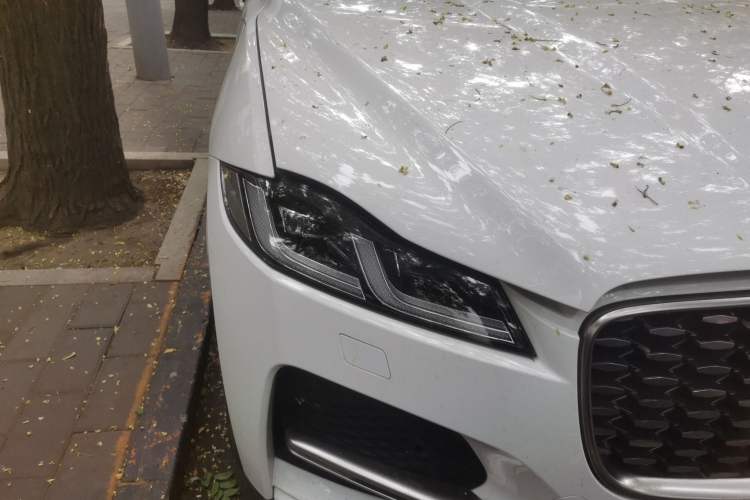 Used Jaguar F-PACE 2022 P250 HSE Right Front Headlight