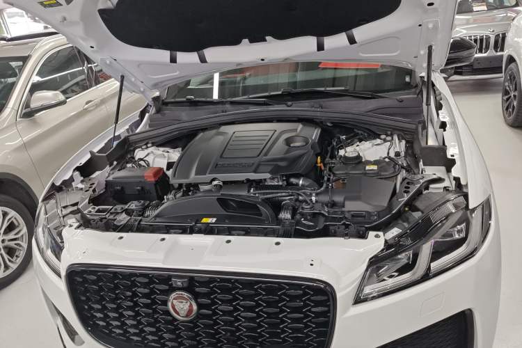Used Jaguar F-PACE 2023 P250 R-Dynamic BLACK Engine Bay