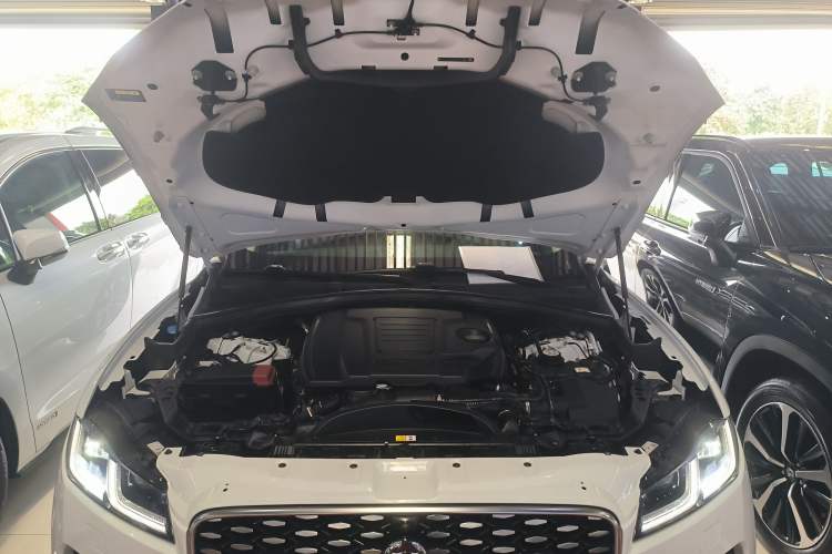 Used Jaguar F-PACE 2023 P250 HSE Engine Bay