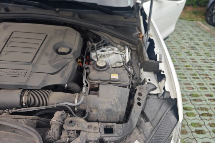 Used Jaguar F-PACE 2023 P250 R-Dynamic BLACK Engine Bay Left
