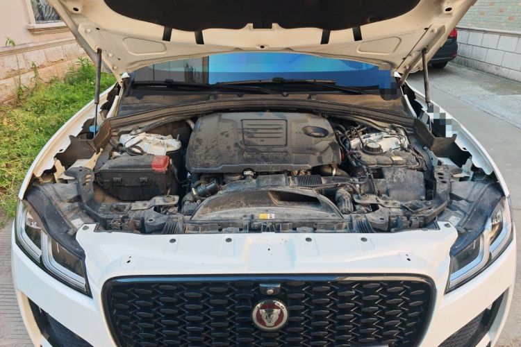 Used Jaguar F-PACE 2023 P250 R-Dynamic BLACK Engine Bay