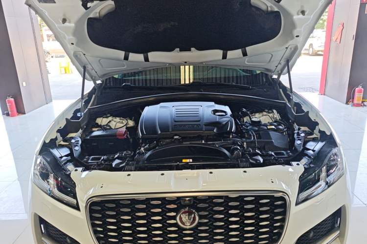 Used Jaguar F-PACE 2023 P250 HSE Engine Bay