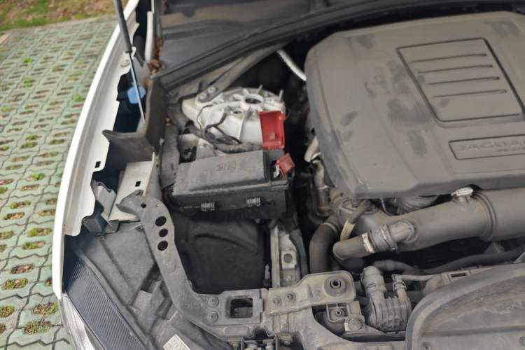 Used Jaguar F-PACE 2023 P250 R-Dynamic BLACK Engine Bay Right