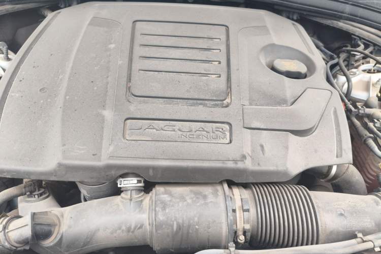 Used Jaguar F-PACE 2023 P250 HSE Engine Bay
