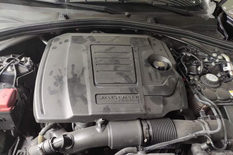 Used Jaguar F-PACE 2024 P250 R-Dynamic HSE Engine Bay