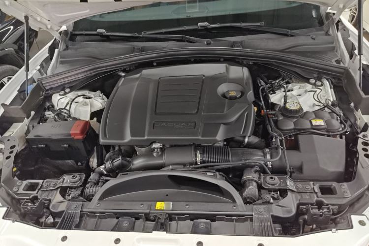 Used Jaguar F-PACE 2024 P250 R-Dynamic HSE Engine Bay