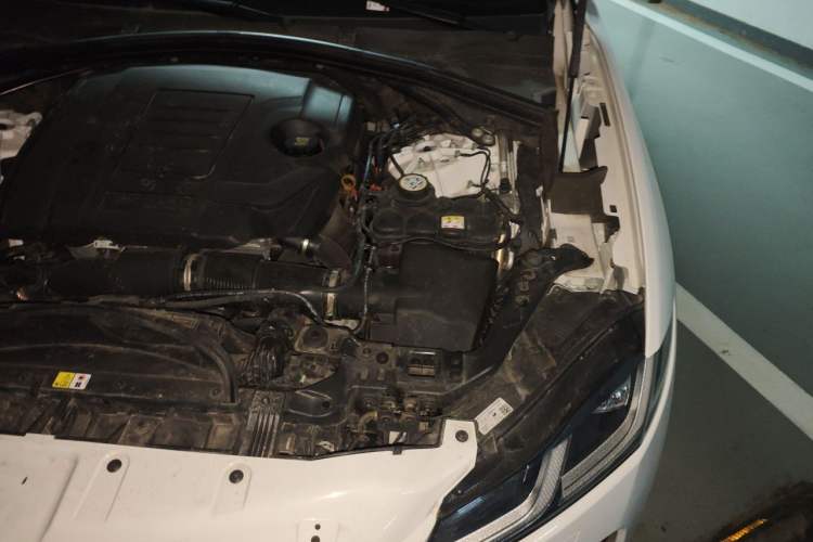 Used Jaguar F-PACE 2024 P250 R-Dynamic SE Engine Bay Left