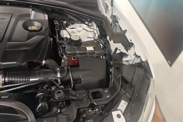 Used Jaguar F-PACE 2024 P250 R-Dynamic SE Engine Bay Left