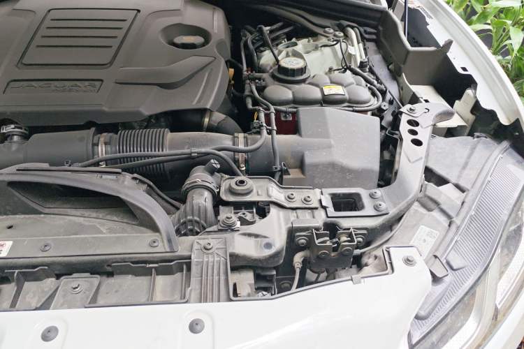 Used Jaguar F-PACE 2024 P250 R-Dynamic SE Engine Bay Left