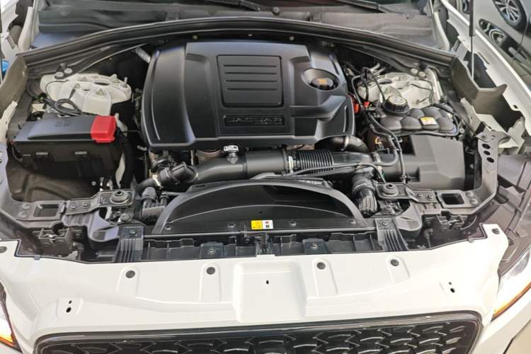 Used Jaguar F-PACE 2024 P250 R-Dynamic SE Engine Bay