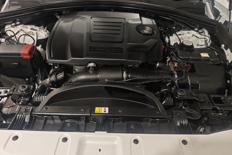 Used Jaguar F-PACE 2024 P250 R-Dynamic SE Engine Bay