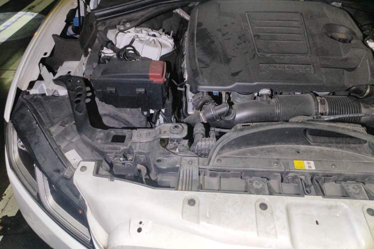 Used Jaguar F-PACE 2024 P250 R-Dynamic SE Engine Bay Right