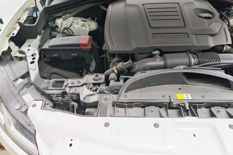 Used Jaguar F-PACE 2024 P250 R-Dynamic SE Engine Bay Right