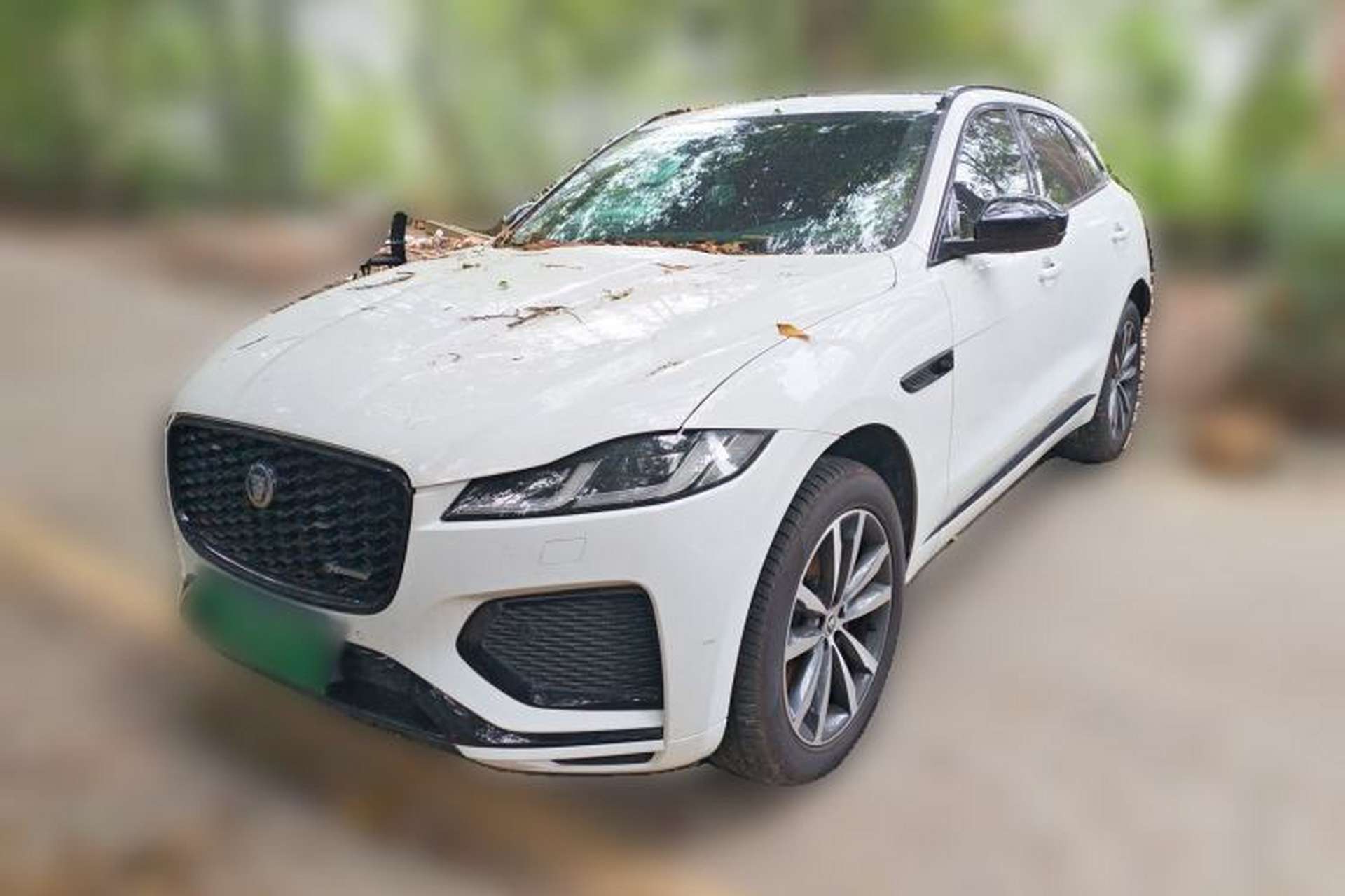 Used Jaguar F-PACE 2024 P250 R-Dynamic SE Front Left 45 Deg