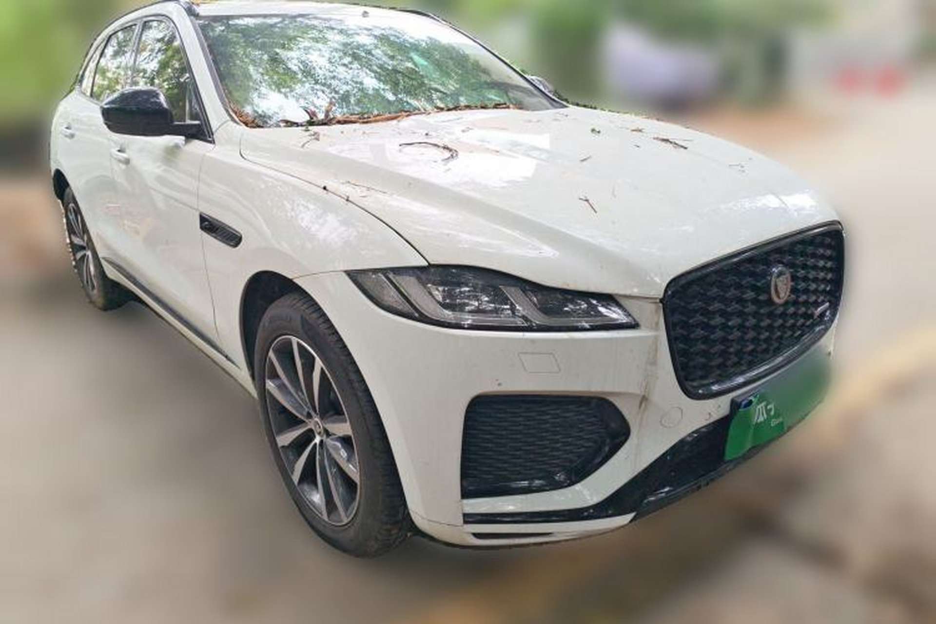 Used Jaguar F-PACE 2024 P250 R-Dynamic SE Front Right 45 Deg