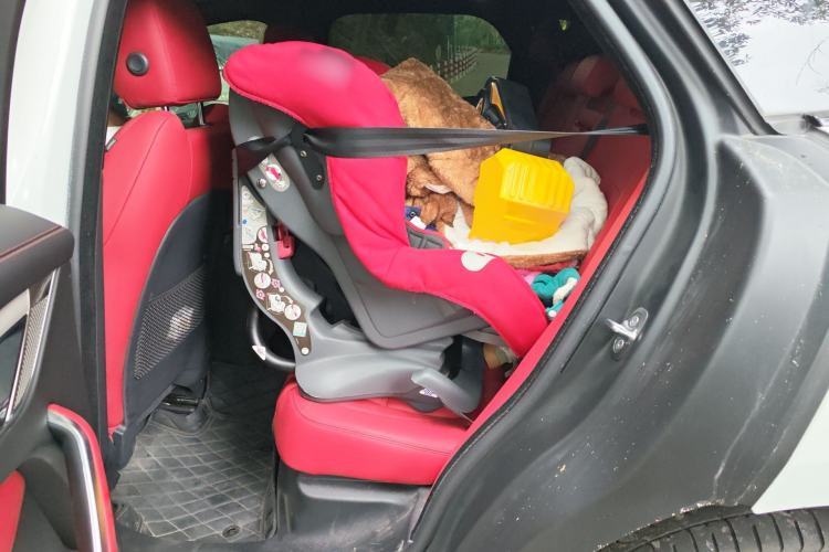 Used Jaguar F-PACE 2024 P250 R-Dynamic SE Left Rear Seat