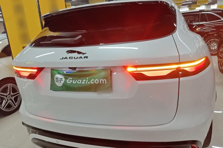 Used Jaguar F-PACE 2024 P250 R-Dynamic HSE Rear