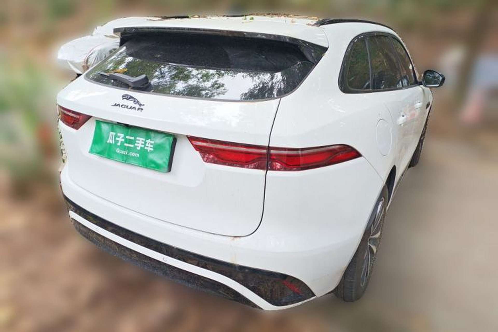 Used Jaguar F-PACE 2024 P250 R-Dynamic SE Rear Right 45 Deg