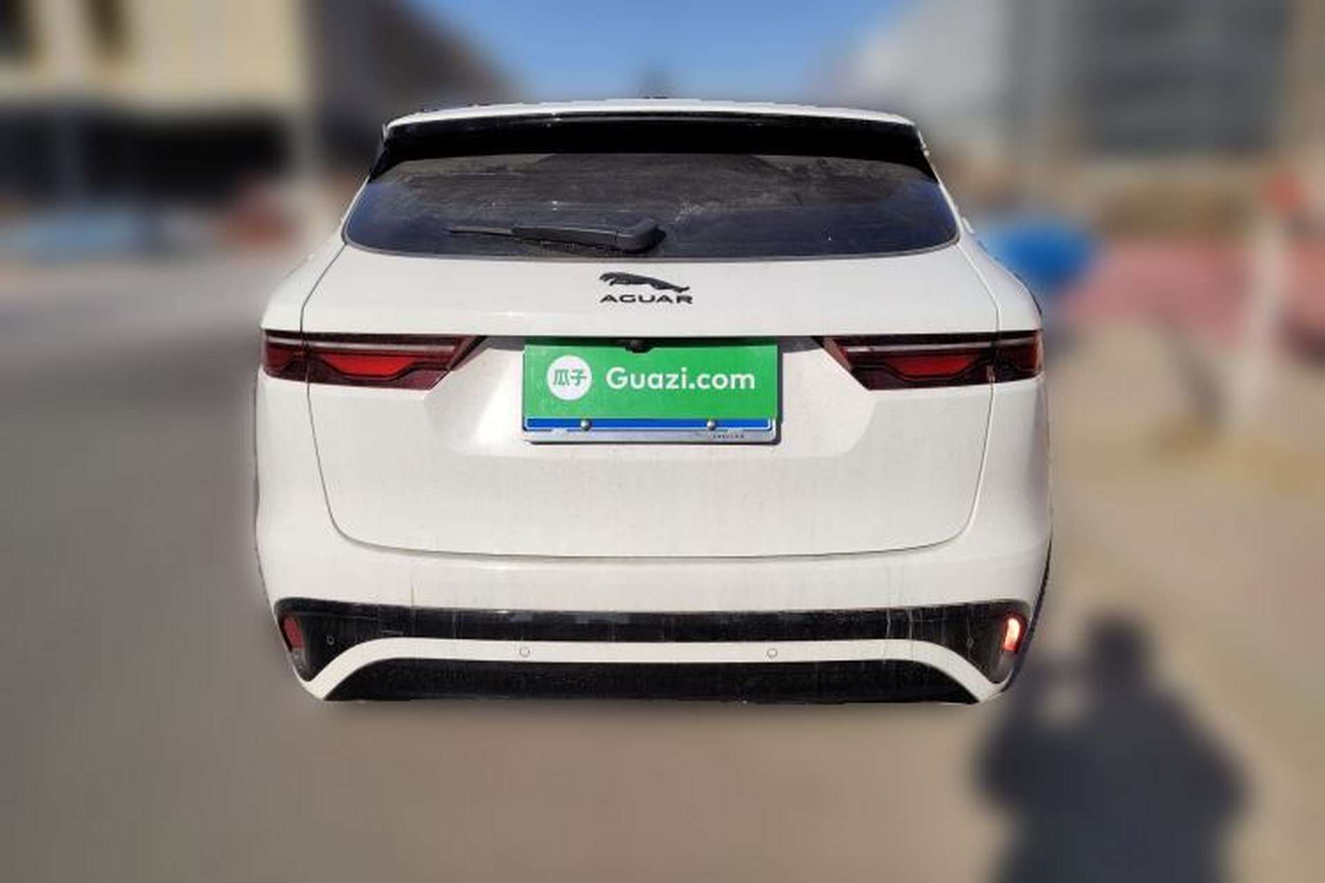 Used Jaguar F-PACE 2024 P250 R-Dynamic SE Rear