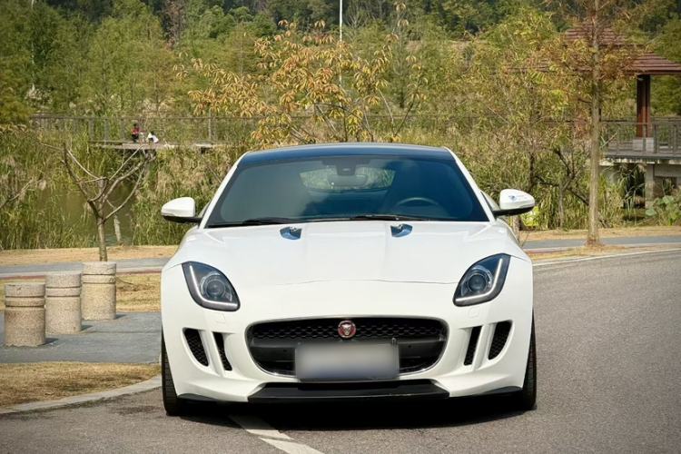 Used Jaguar F-TYPE 2016 3.0 SC Hardtop Version Exterior 3