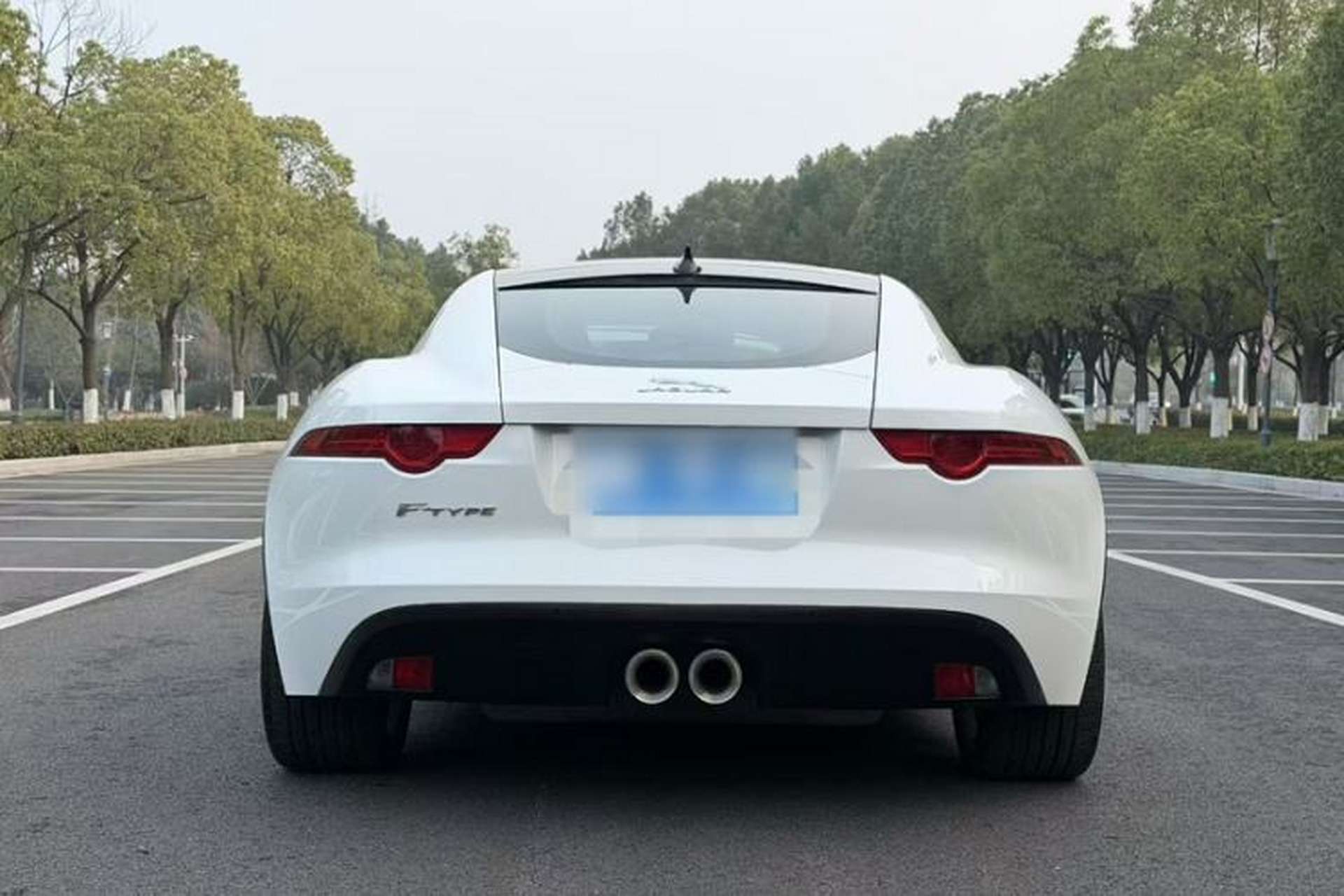 Used Jaguar F-TYPE 2016 3.0 SC Hardtop Version Exterior 5